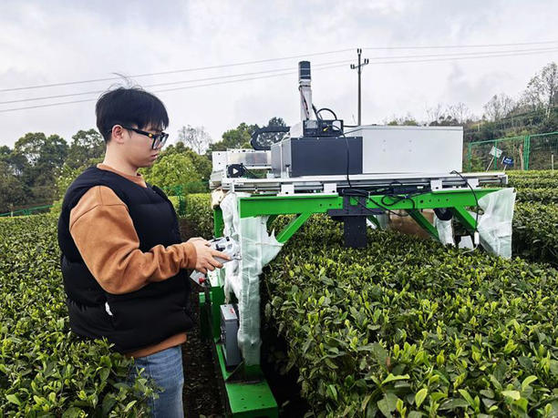 山地名优茶智能采摘机器人上岗 2秒采摘一片茶叶(图1)